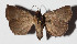  ( - 14-SRNP-76514)  @11 [ ] CreativeCommons  Attribution Non-Commercial Share-Alike (2016) Unspecified Guanacaste Dry Forest Conservation Fund