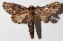  ( - 14-SRNP-773)  @14 [ ] CreativeCommons  Attribution Non-Commercial Share-Alike (2016) Unspecified Guanacaste Dry Forest Conservation Fund