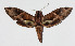  ( - 14-SRNP-77673)  @14 [ ] CreativeCommons  Attribution Non-Commercial Share-Alike (2016) Unspecified Guanacaste Dry Forest Conservation Fund