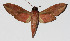  ( - 14-SRNP-77673)  @14 [ ] CreativeCommons  Attribution Non-Commercial Share-Alike (2016) Unspecified Guanacaste Dry Forest Conservation Fund