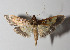  ( - 14-SRNP-80031)  @14 [ ] CreativeCommons  Attribution Non-Commercial Share-Alike (2016) Unspecified Guanacaste Dry Forest Conservation Fund