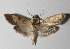  ( - 14-SRNP-80031)  @14 [ ] CreativeCommons  Attribution Non-Commercial Share-Alike (2016) Unspecified Guanacaste Dry Forest Conservation Fund