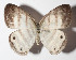  ( - 14-SRNP-81287)  @14 [ ] CreativeCommons  Attribution Non-Commercial Share-Alike (2016) Unspecified Guanacaste Dry Forest Conservation Fund