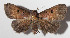 ( - 14-SRNP-81886)  @14 [ ] CreativeCommons  Attribution Non-Commercial Share-Alike (2016) Unspecified Guanacaste Dry Forest Conservation Fund