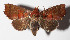  ( - 14-SRNP-82058)  @14 [ ] CreativeCommons  Attribution Non-Commercial Share-Alike (2016) Unspecified Guanacaste Dry Forest Conservation Fund