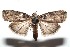  ( - 15-SRNP-100156)  @14 [ ] CreativeCommons  Attribution Non-Commercial Share-Alike (2016) Unspecified Guanacaste Dry Forest Conservation Fund