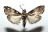  ( - 15-SRNP-100237)  @11 [ ] CreativeCommons  Attribution Non-Commercial Share-Alike (2016) Unspecified Guanacaste Dry Forest Conservation Fund