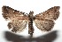  ( - 15-SRNP-100325)  @14 [ ] CreativeCommons  Attribution Non-Commercial Share-Alike (2016) Unspecified Guanacaste Dry Forest Conservation Fund
