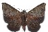  ( - 15-SRNP-100541)  @14 [ ] CreativeCommons  Attribution Non-Commercial Share-Alike (2016) Unspecified Guanacaste Dry Forest Conservation Fund