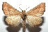  ( - 15-SRNP-100560)  @15 [ ] CreativeCommons  Attribution Non-Commercial Share-Alike (2016) Unspecified Guanacaste Dry Forest Conservation Fund