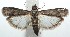 ( - 15-SRNP-100717)  @14 [ ] CreativeCommons  Attribution Non-Commercial Share-Alike (2016) Unspecified Guanacaste Dry Forest Conservation Fund
