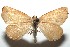  ( - 15-SRNP-100829)  @13 [ ] CreativeCommons  Attribution Non-Commercial Share-Alike (2016) Unspecified Guanacaste Dry Forest Conservation Fund