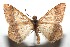  ( - 15-SRNP-100942)  @14 [ ] CreativeCommons  Attribution Non-Commercial Share-Alike (2016) Unspecified Guanacaste Dry Forest Conservation Fund
