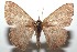  ( - 15-SRNP-100946)  @14 [ ] CreativeCommons  Attribution Non-Commercial Share-Alike (2016) Unspecified Guanacaste Dry Forest Conservation Fund