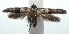  ( - 15-SRNP-101022)  @13 [ ] CreativeCommons  Attribution Non-Commercial Share-Alike (2016) Unspecified Guanacaste Dry Forest Conservation Fund
