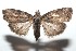  ( - 15-SRNP-101070)  @14 [ ] CreativeCommons  Attribution Non-Commercial Share-Alike (2016) Unspecified Guanacaste Dry Forest Conservation Fund