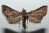  ( - 15-SRNP-101087)  @14 [ ] CreativeCommons  Attribution Non-Commercial Share-Alike (2016) Unspecified Guanacaste Dry Forest Conservation Fund