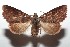  ( - 15-SRNP-101098)  @14 [ ] CreativeCommons  Attribution Non-Commercial Share-Alike (2016) Unspecified Guanacaste Dry Forest Conservation Fund