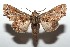  ( - 15-SRNP-101105)  @14 [ ] CreativeCommons  Attribution Non-Commercial Share-Alike (2016) Unspecified Guanacaste Dry Forest Conservation Fund