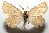  ( - 15-SRNP-101182)  @13 [ ] CreativeCommons  Attribution Non-Commercial Share-Alike (2016) Unspecified Guanacaste Dry Forest Conservation Fund