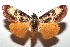  ( - 15-SRNP-101211)  @13 [ ] CreativeCommons  Attribution Non-Commercial Share-Alike (2016) Unspecified Guanacaste Dry Forest Conservation Fund
