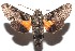  ( - 15-SRNP-101226)  @14 [ ] CreativeCommons  Attribution Non-Commercial Share-Alike (2016) Unspecified Guanacaste Dry Forest Conservation Fund
