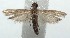  ( - 15-SRNP-101233)  @13 [ ] CreativeCommons  Attribution Non-Commercial Share-Alike (2016) Unspecified Guanacaste Dry Forest Conservation Fund