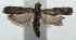  ( - 15-SRNP-101236)  @14 [ ] CreativeCommons  Attribution Non-Commercial Share-Alike (2016) Unspecified Guanacaste Dry Forest Conservation Fund