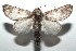  ( - 15-SRNP-101263)  @14 [ ] CreativeCommons  Attribution Non-Commercial Share-Alike (2016) Unspecified Guanacaste Dry Forest Conservation Fund