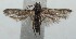  ( - 15-SRNP-101285)  @12 [ ] CreativeCommons  Attribution Non-Commercial Share-Alike (2016) Unspecified Guanacaste Dry Forest Conservation Fund