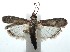  ( - 15-SRNP-101387)  @14 [ ] CreativeCommons  Attribution Non-Commercial Share-Alike (2016) Unspecified Guanacaste Dry Forest Conservation Fund
