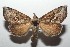  ( - 15-SRNP-101479)  @14 [ ] CreativeCommons  Attribution Non-Commercial Share-Alike (2016) Unspecified Guanacaste Dry Forest Conservation Fund