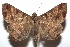  ( - 15-SRNP-101487)  @14 [ ] CreativeCommons  Attribution Non-Commercial Share-Alike (2016) Unspecified Guanacaste Dry Forest Conservation Fund