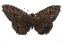  ( - 15-SRNP-101496)  @14 [ ] CreativeCommons  Attribution Non-Commercial Share-Alike (2016) Unspecified Guanacaste Dry Forest Conservation Fund