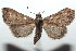  ( - 15-SRNP-101634)  @14 [ ] CreativeCommons  Attribution Non-Commercial Share-Alike (2016) Unspecified Guanacaste Dry Forest Conservation Fund