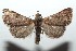  ( - 15-SRNP-101635)  @14 [ ] CreativeCommons  Attribution Non-Commercial Share-Alike (2016) Unspecified Guanacaste Dry Forest Conservation Fund