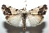  ( - 15-SRNP-101643)  @14 [ ] CreativeCommons  Attribution Non-Commercial Share-Alike (2016) Unspecified Guanacaste Dry Forest Conservation Fund