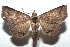  ( - 15-SRNP-101695)  @14 [ ] CreativeCommons  Attribution Non-Commercial Share-Alike (2016) Unspecified Guanacaste Dry Forest Conservation Fund