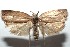  ( - 15-SRNP-101710)  @14 [ ] CreativeCommons  Attribution Non-Commercial Share-Alike (2016) Unspecified Guanacaste Dry Forest Conservation Fund