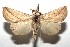  ( - 15-SRNP-101823)  @13 [ ] CreativeCommons  Attribution Non-Commercial Share-Alike (2016) Unspecified Guanacaste Dry Forest Conservation Fund