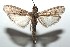  ( - 15-SRNP-101875)  @14 [ ] CreativeCommons  Attribution Non-Commercial Share-Alike (2016) Unspecified Guanacaste Dry Forest Conservation Fund
