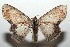  ( - 15-SRNP-102021)  @14 [ ] CreativeCommons  Attribution Non-Commercial Share-Alike (2016) Unspecified Guanacaste Dry Forest Conservation Fund
