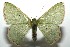  ( - 15-SRNP-102031)  @11 [ ] CreativeCommons  Attribution Non-Commercial Share-Alike (2016) Unspecified Guanacaste Dry Forest Conservation Fund