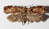  ( - 15-SRNP-124)  @14 [ ] CreativeCommons  Attribution Non-Commercial Share-Alike (2016) Unspecified Guanacaste Dry Forest Conservation Fund