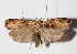  ( - 15-SRNP-133)  @14 [ ] CreativeCommons  Attribution Non-Commercial Share-Alike (2016) Unspecified Guanacaste Dry Forest Conservation Fund