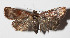  ( - 15-SRNP-1357)  @14 [ ] CreativeCommons  Attribution Non-Commercial Share-Alike (2016) Unspecified Guanacaste Dry Forest Conservation Fund