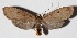  ( - 15-SRNP-1819)  @14 [ ] CreativeCommons  Attribution Non-Commercial Share-Alike (2016) Unspecified Guanacaste Dry Forest Conservation Fund