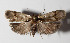  ( - 15-SRNP-191)  @14 [ ] CreativeCommons  Attribution Non-Commercial Share-Alike (2016) Unspecified Guanacaste Dry Forest Conservation Fund