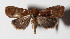  ( - 15-SRNP-20542)  @13 [ ] CreativeCommons  Attribution Non-Commercial Share-Alike (2016) Unspecified Guanacaste Dry Forest Conservation Fund