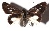  ( - 15-SRNP-20616)  @14 [ ] CreativeCommons  Attribution Non-Commercial Share-Alike (2016) Unspecified Guanacaste Dry Forest Conservation Fund